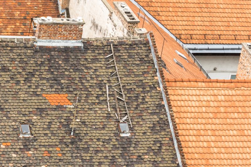 Damaged Roof Repair