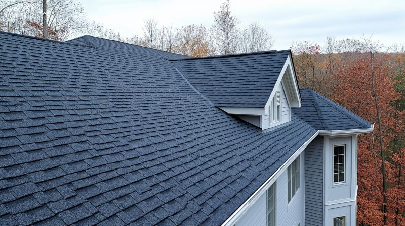 Asphalt Roof Inspection detail