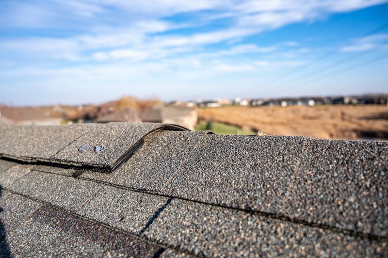 Asphalt Roof Leak Repair detail