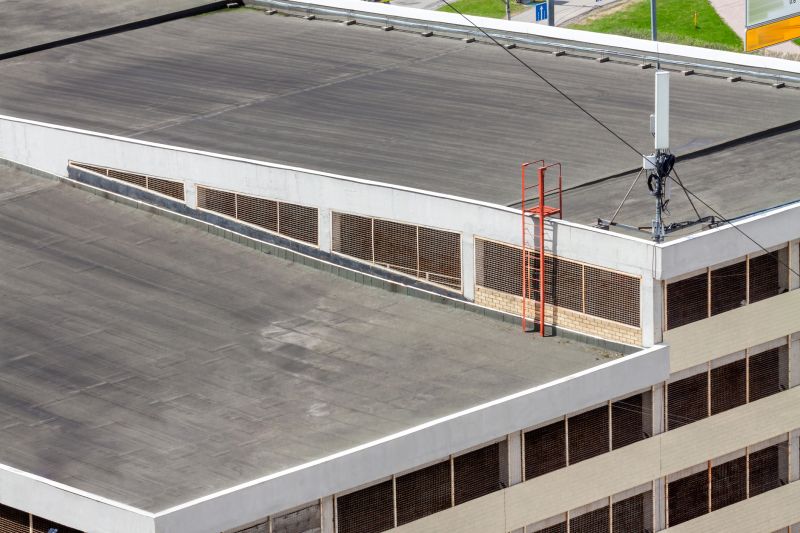 Business Roof Inspection detail