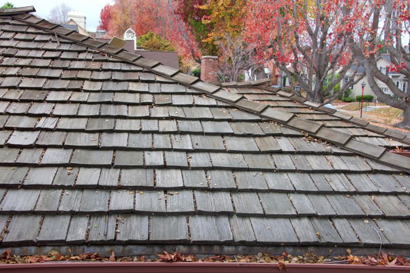 Cedar Shake Roof Construction detail
