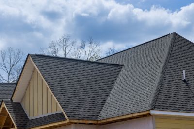 House Roof Repair detail