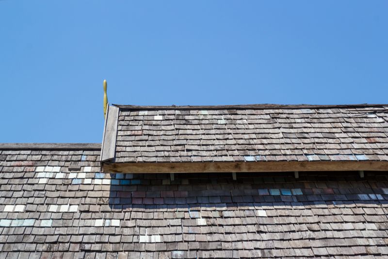 Shake Roof Replacement detail