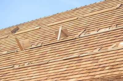 Shake Shingle Repair