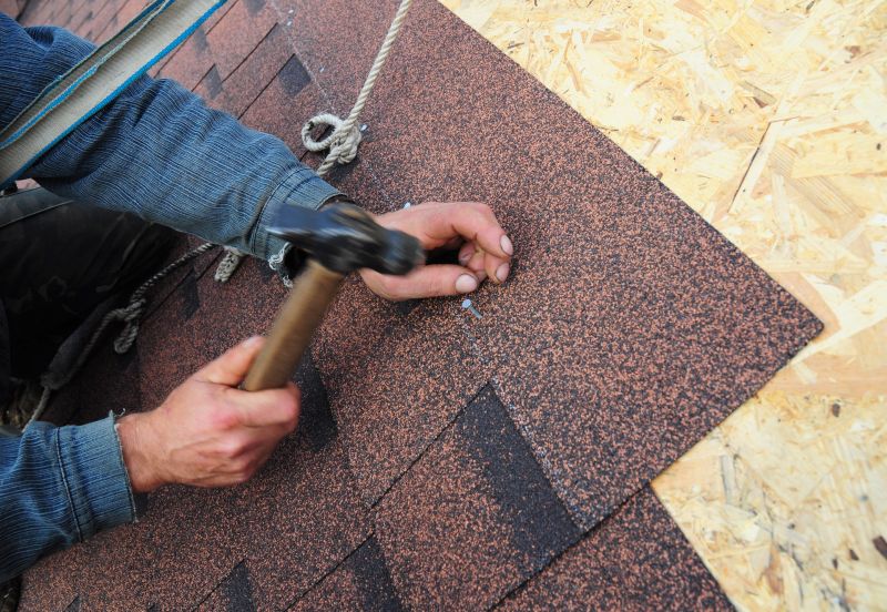 Shingle Repair