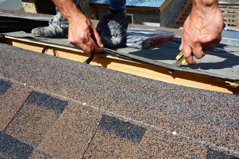 Shingle Repair