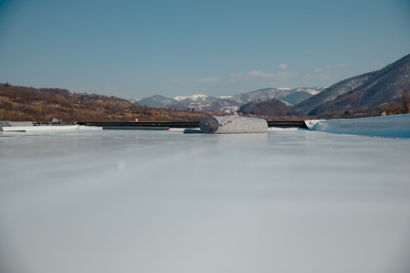 Tpo Roof Replacement